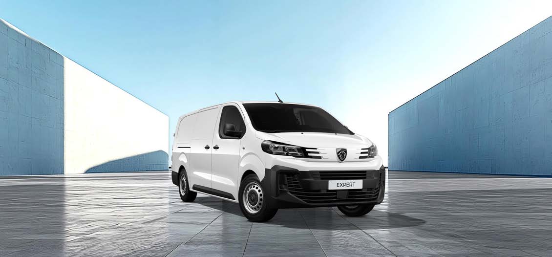 Van comercial blanca
